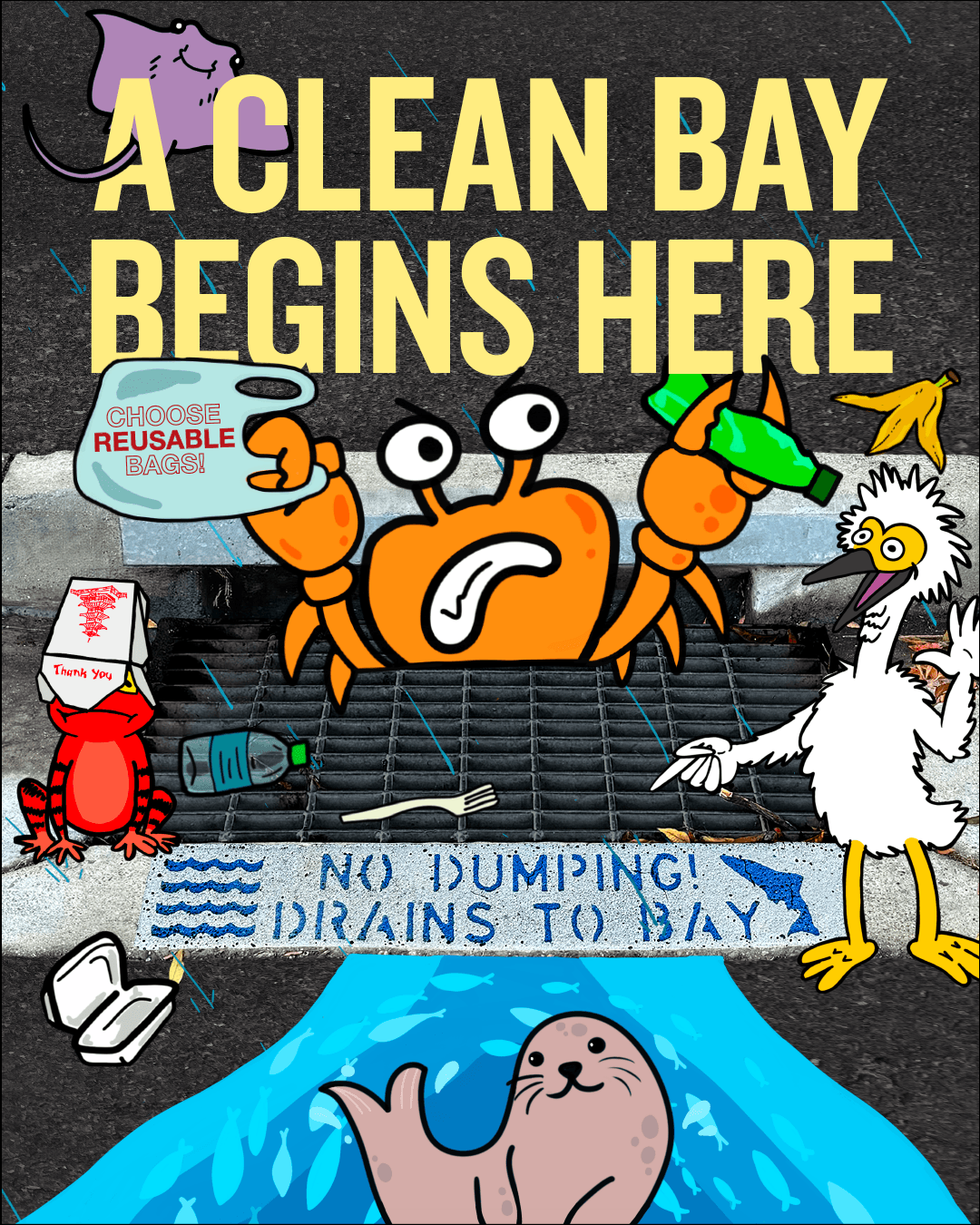 Storm Drains Connect Streets to Creeks